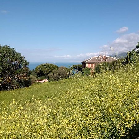 B&B Casa Ninni Camogli Exterior photo